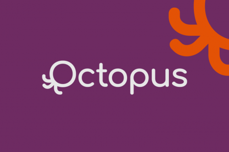 Octopus banner image