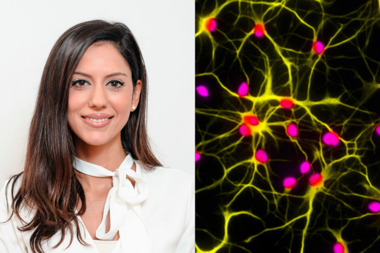 image of Maria Stavrou and an image of astrocytes