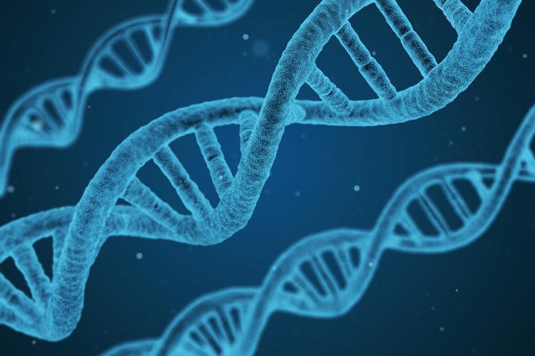 Three diagonal strands of DNA in blue