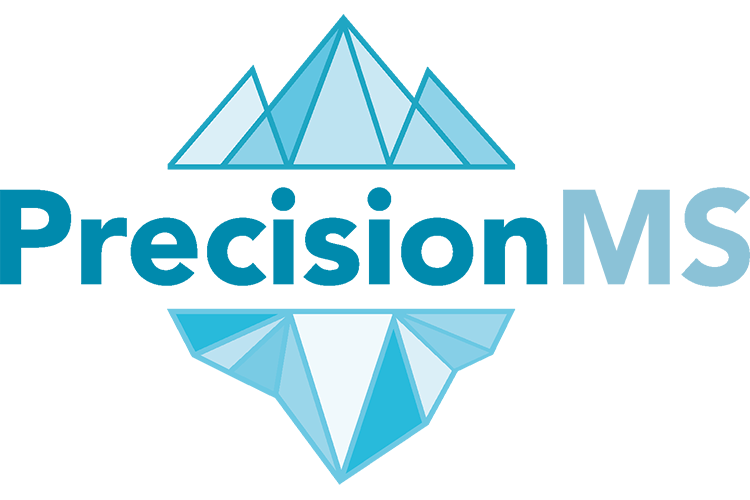 PrecisionMS logo with overlapping triangles above like mountains and below the text