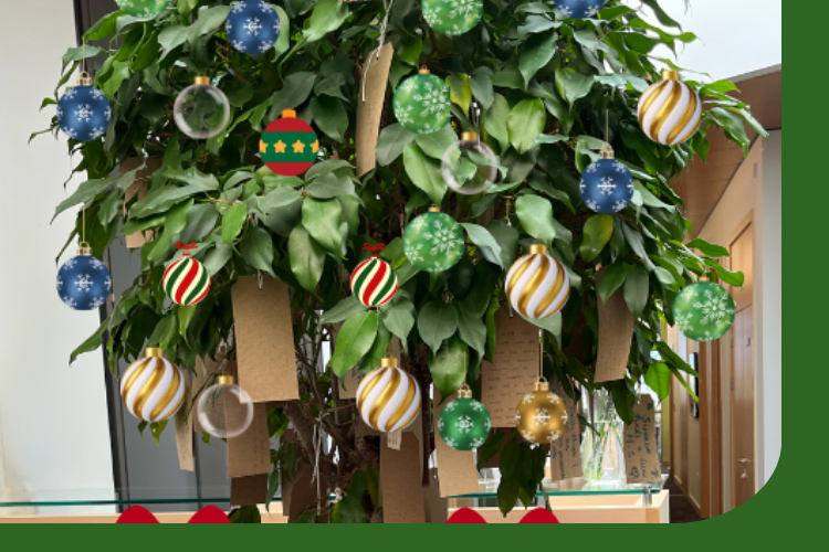 A picture of the wishing tree in the reception area of the Anne Rowling Clinic. The tree has been decorated with brightly coloured baubles. 