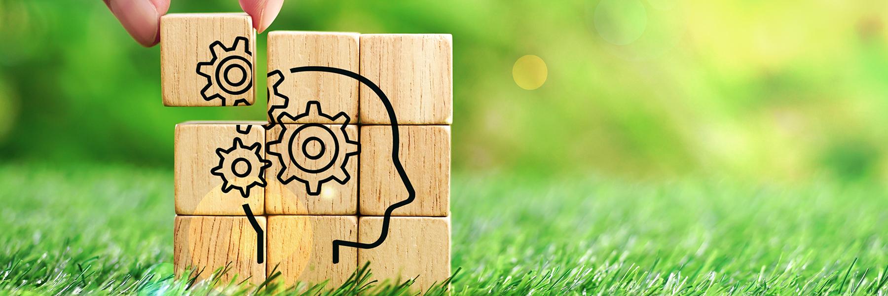 graphic of wooden jigsaw showing a simplified human head and brain, sitting on a bright green grass lawn, with the final piece being put into place