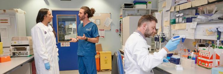 Inside of a busy laboratory, in the background an Anne Clinic researcher and a laboratory scientist and are in a discussion. In the foreground, a scientist is using a pipette at the lab bench.  